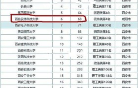 西安交通大学排名,西安交通大学：位列国内高校前五，成就辉煌的工程学巨擘