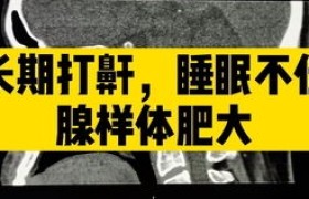 美国医学院申请,